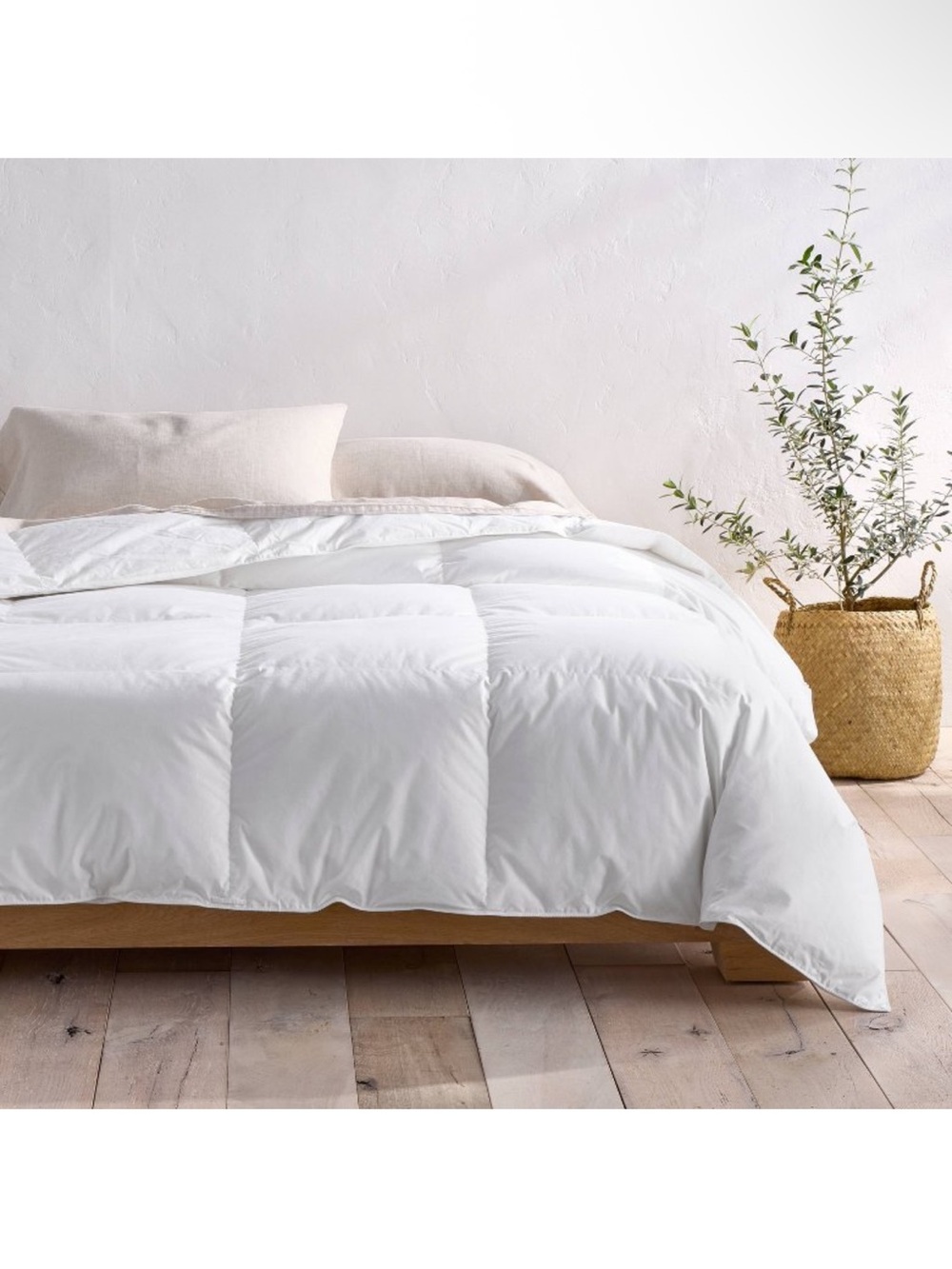 King/California King Premium Goose Down Duvet Insert - Casaluna